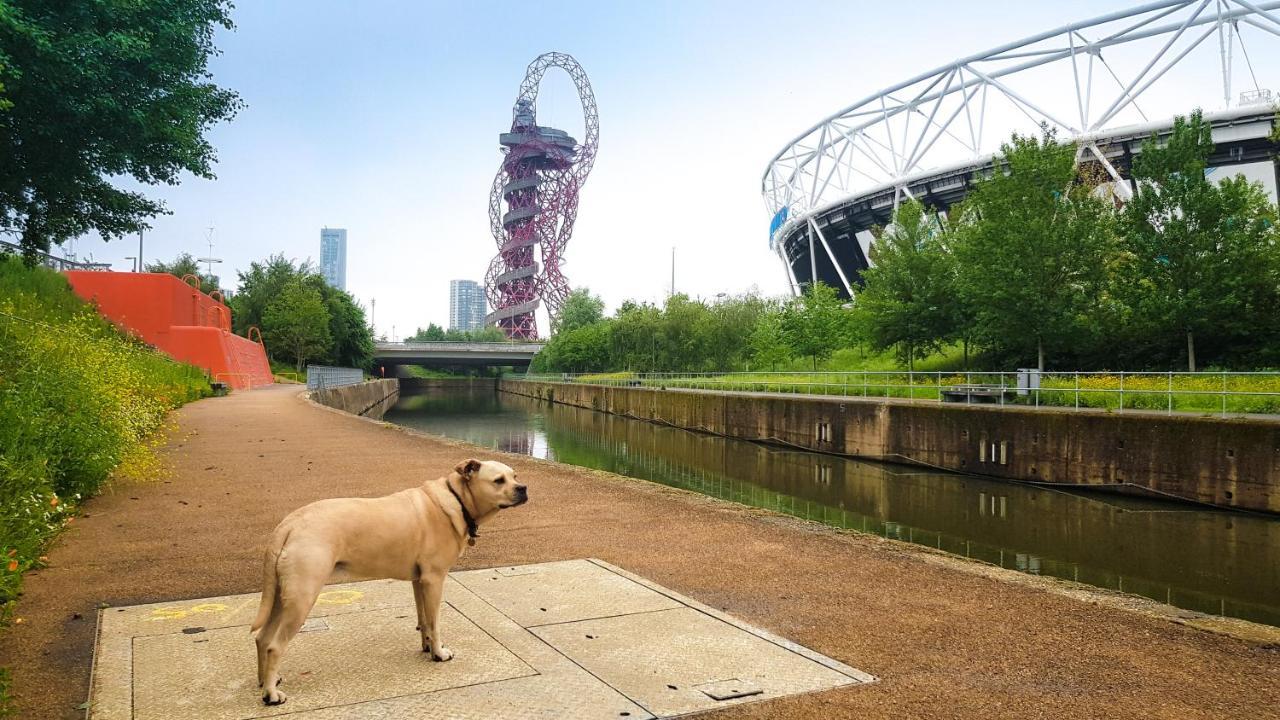 Beautiful Central Home For 6 Near Olympic Park And Abba Theatre London Exterior photo